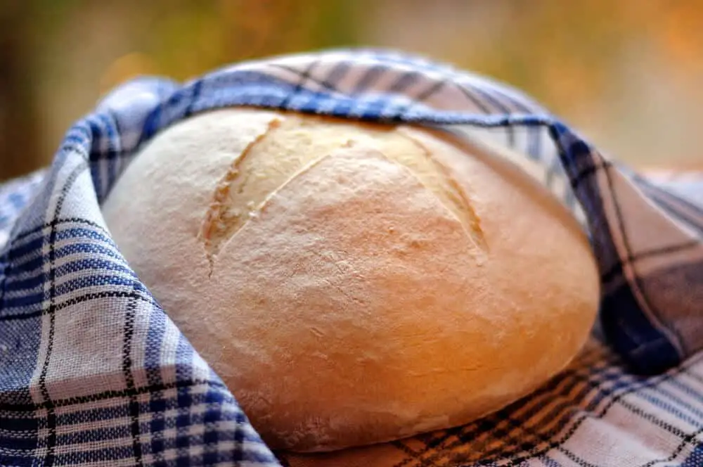 gluten free bread machine