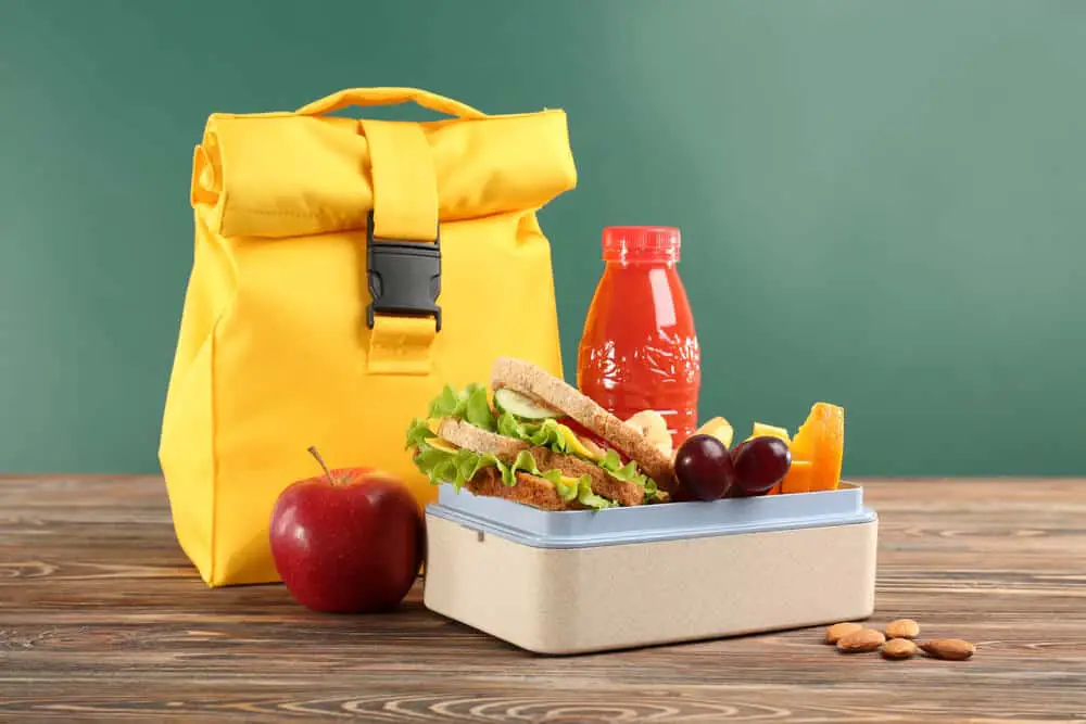 best lunch boxes to keep food cold