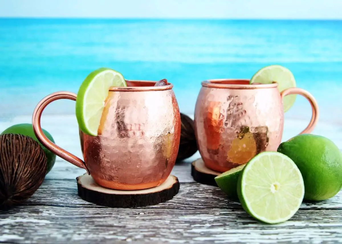 are copper moscow mule mugs dishwasher safe
