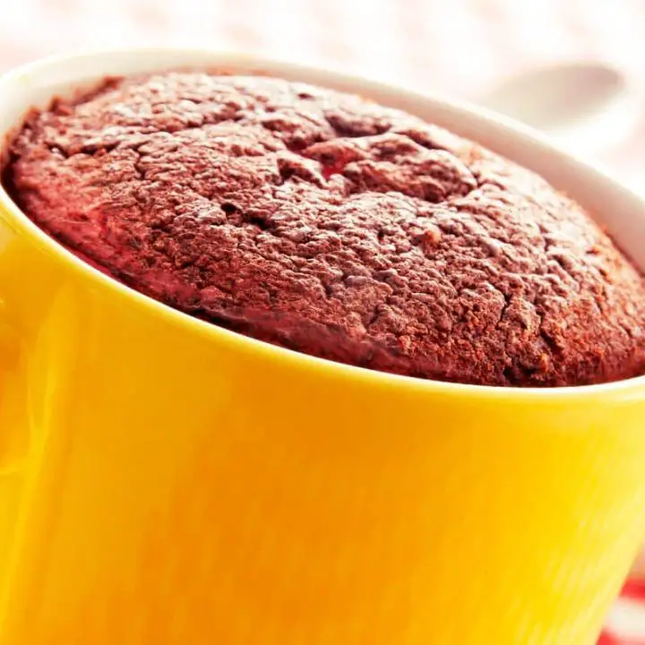 Super Moist Gooey Chocolate Mug Cake