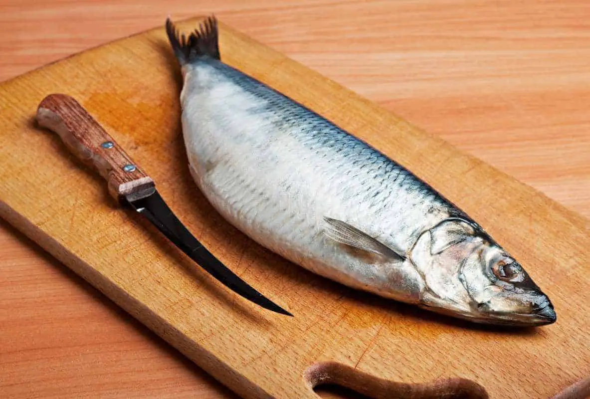 Do you need a fillet knife to fillet a fish
