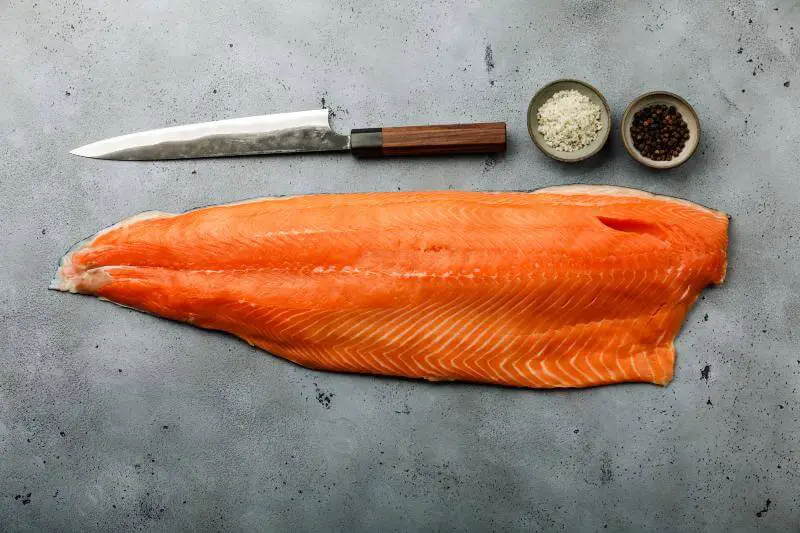 fillet knife with big fish fillet