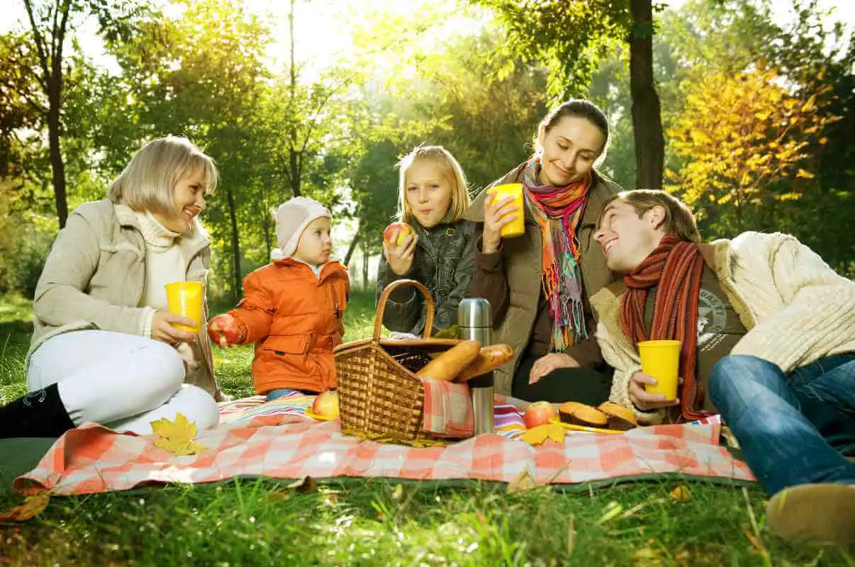 7 Reasons Why Picnic is Good for You