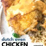 easy dutch oven chicken and rice recipe