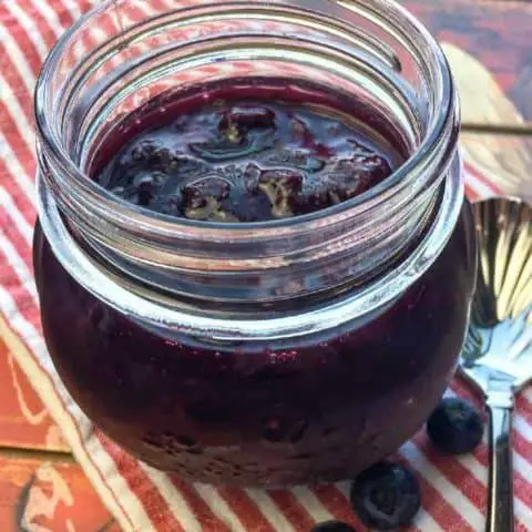 Irresistible Instant Pot Blueberry Maple Compote