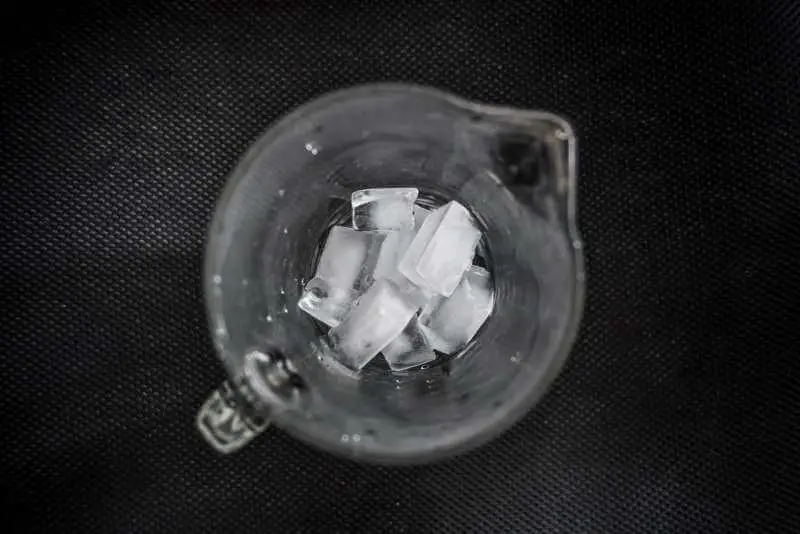 ice cubes in blender container
