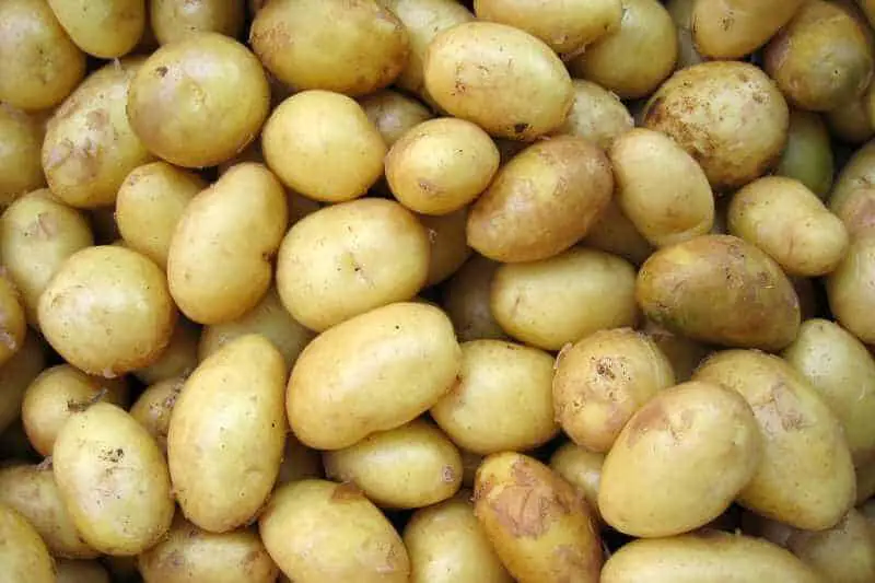 unpeeled potatoes