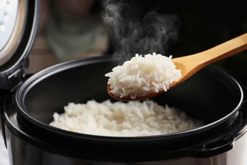 cooked rice on rice cooker
