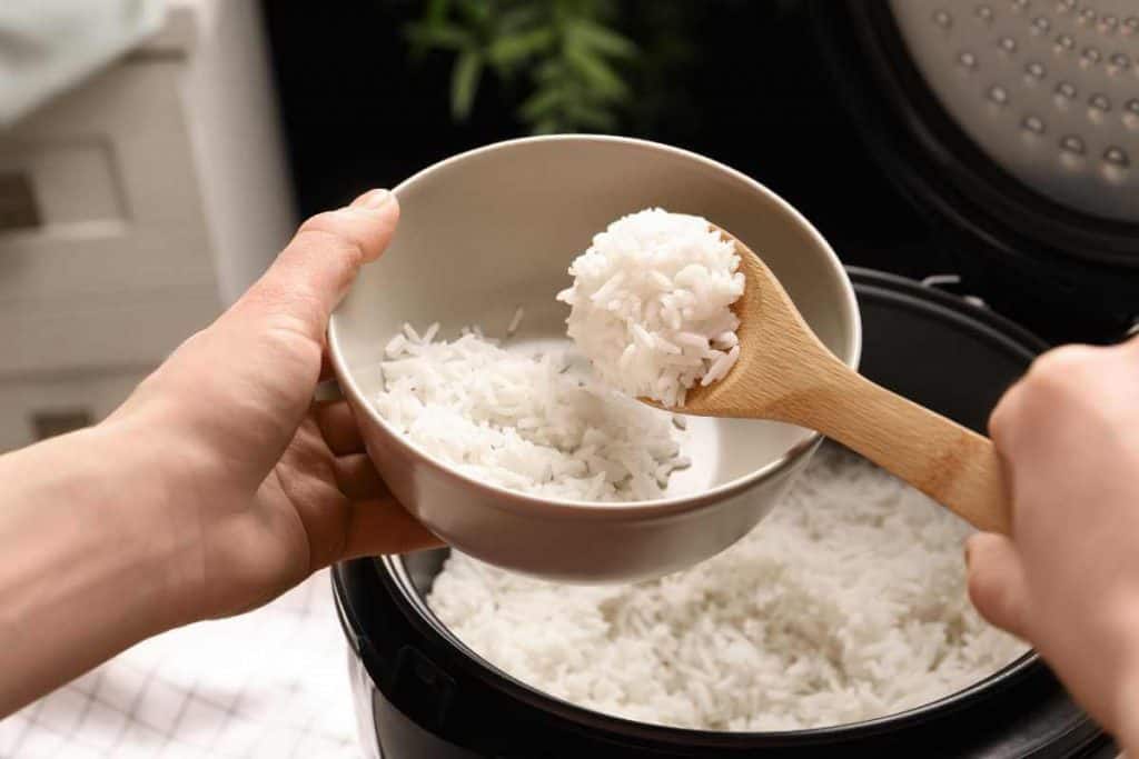 Do Pressure Cookers Cook Rice at Jose Jordan blog