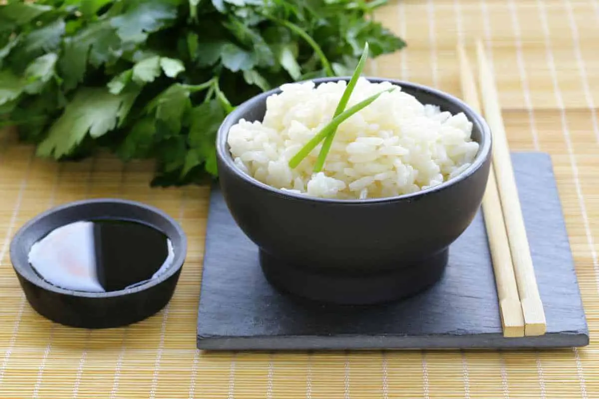 best zojirushi rice cooker