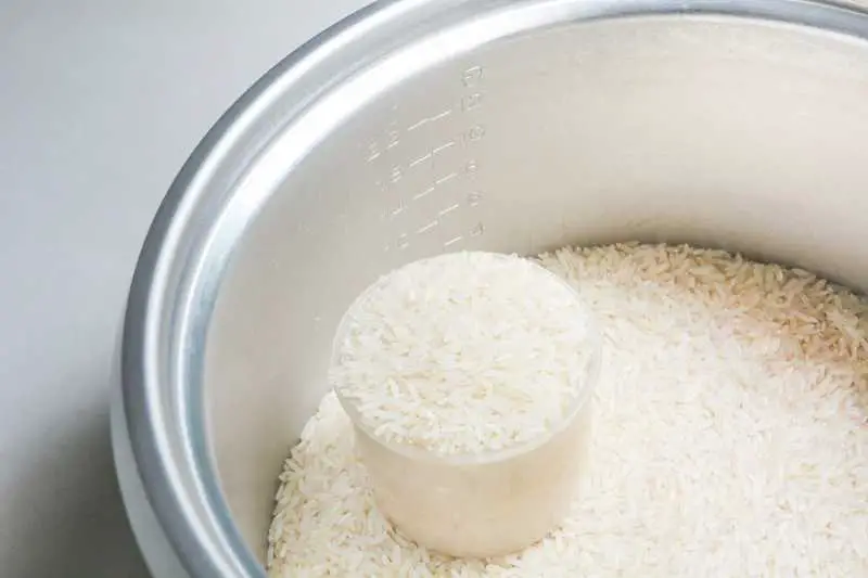 uncooked rice in rice cooker