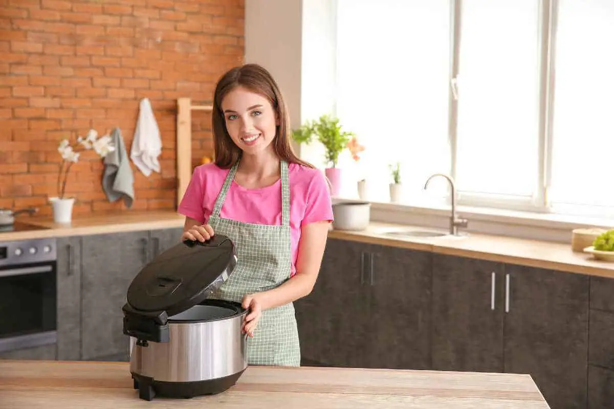 best rice cooker with stainless steel inner pot