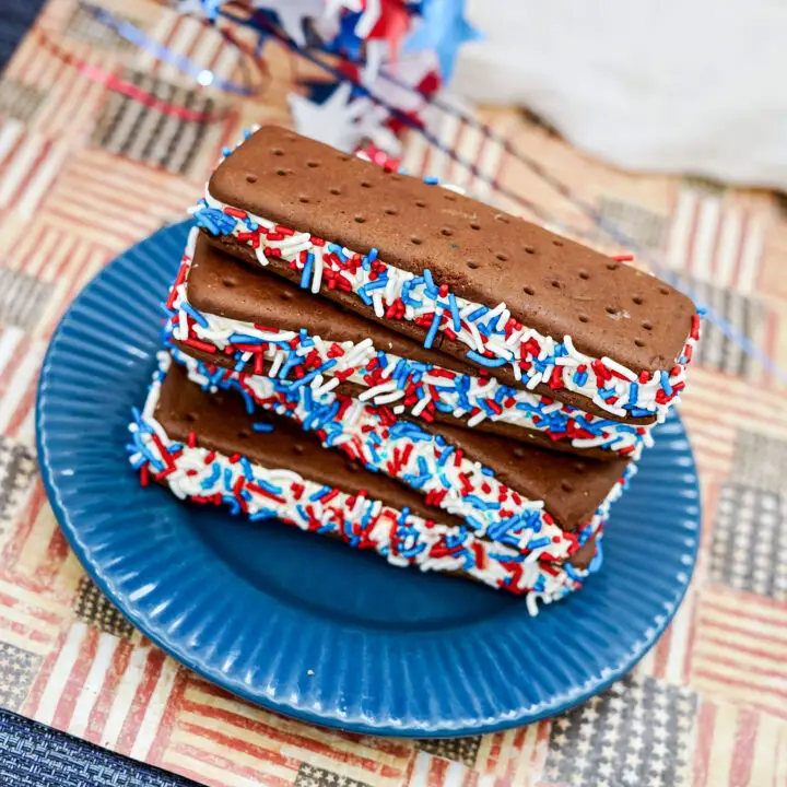 Patriotic Ice Cream Sandwich