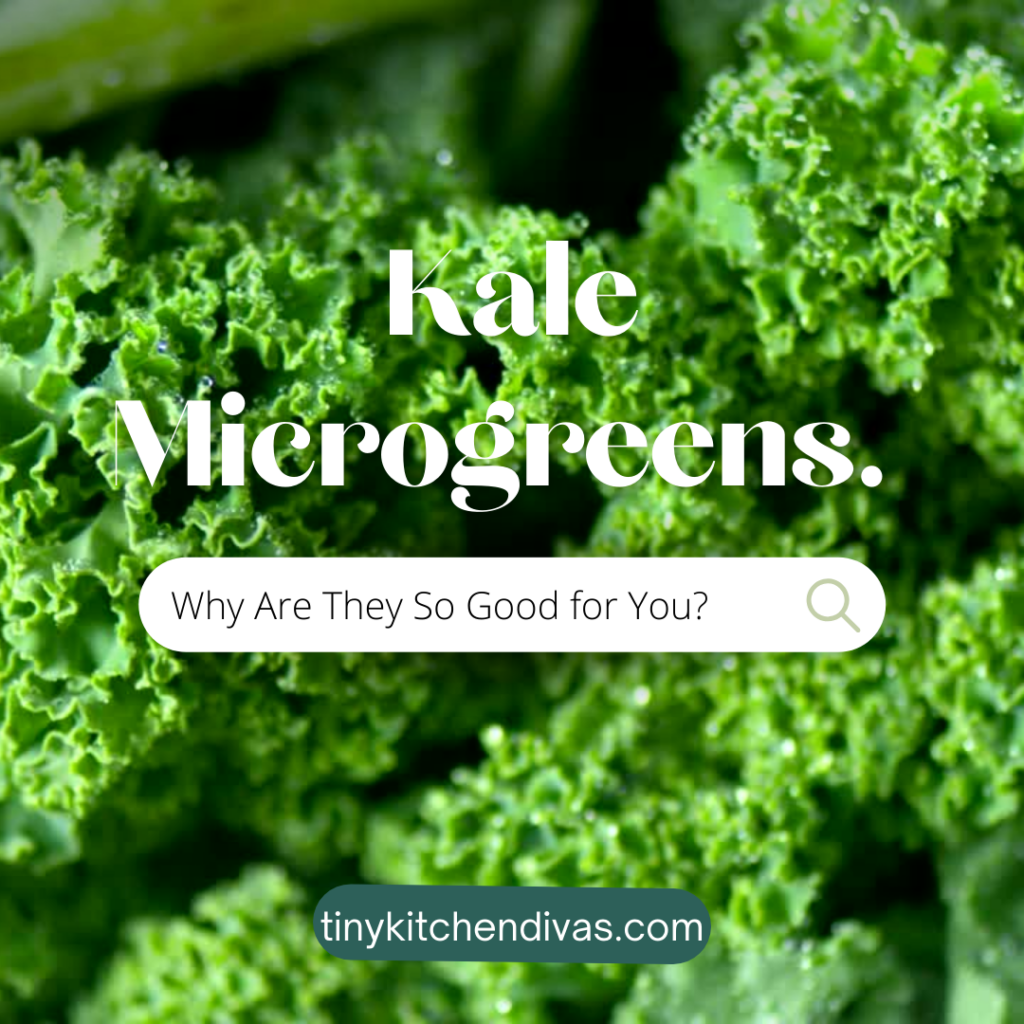 Kale Microgreens Why Are They So Good for You? Tiny Kitchen Divas