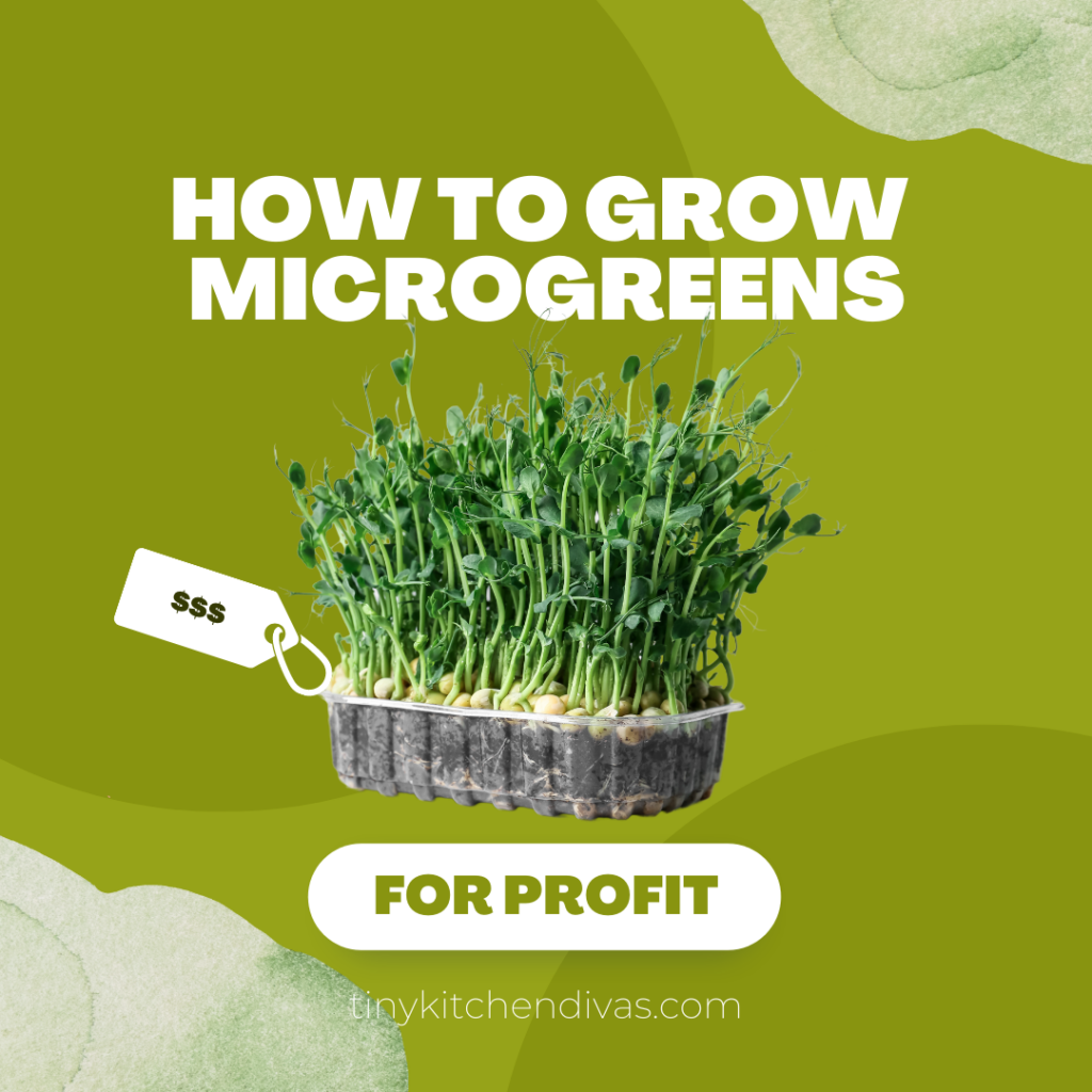 How To Grow Microgreens For Profit Tiny Kitchen Divas