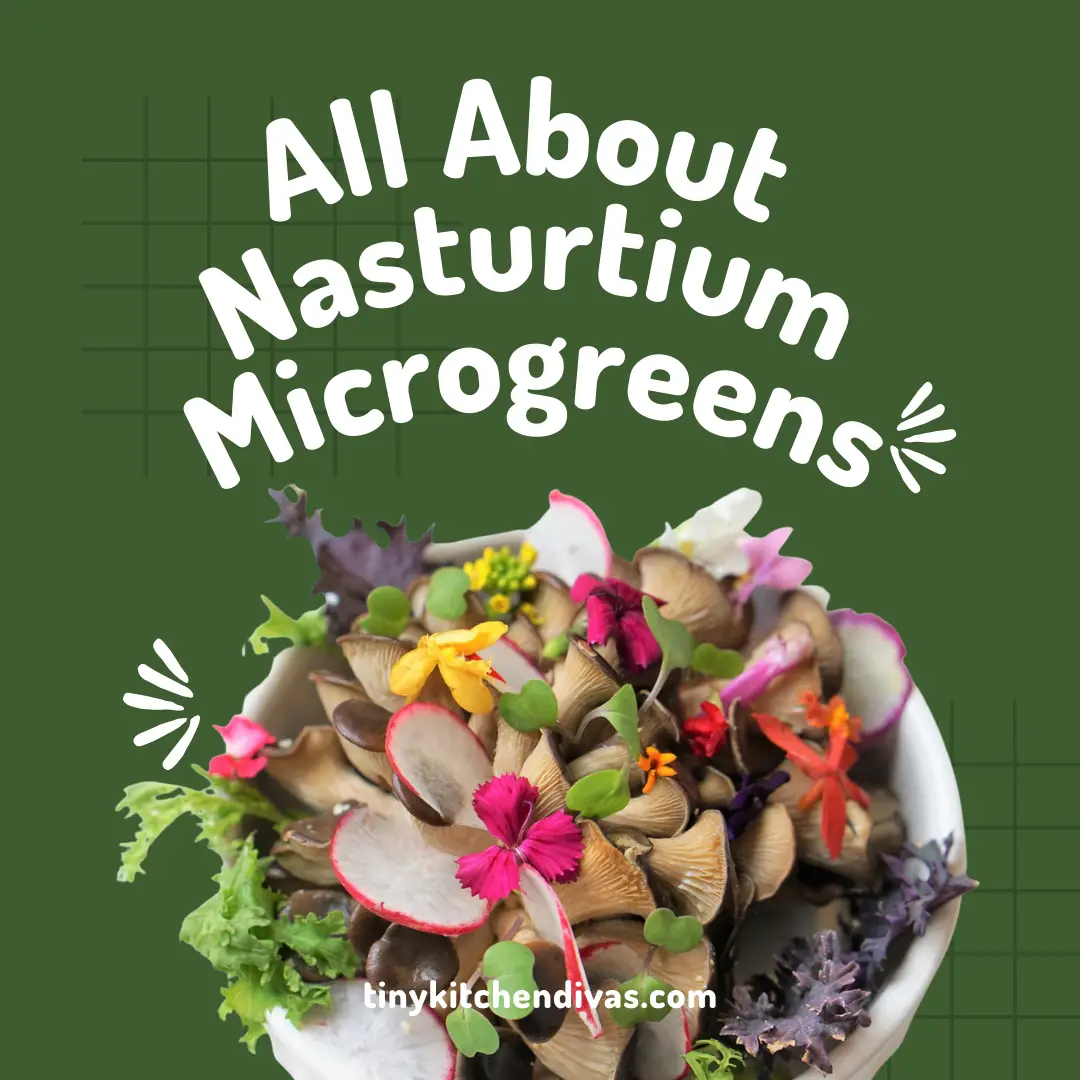 All About Nasturtium Microgreens