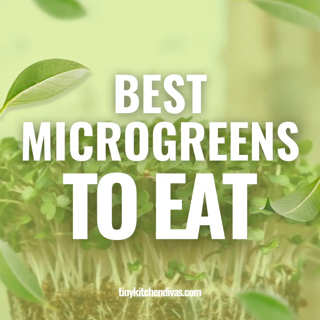 The Best Microgreens To Eat
