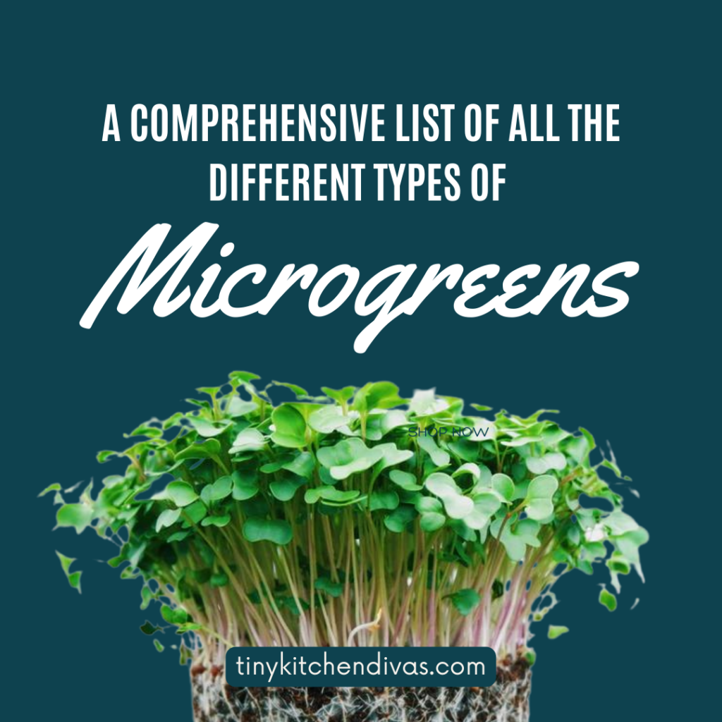 A Comprehensive List Of All The Different Types Of Microgreens