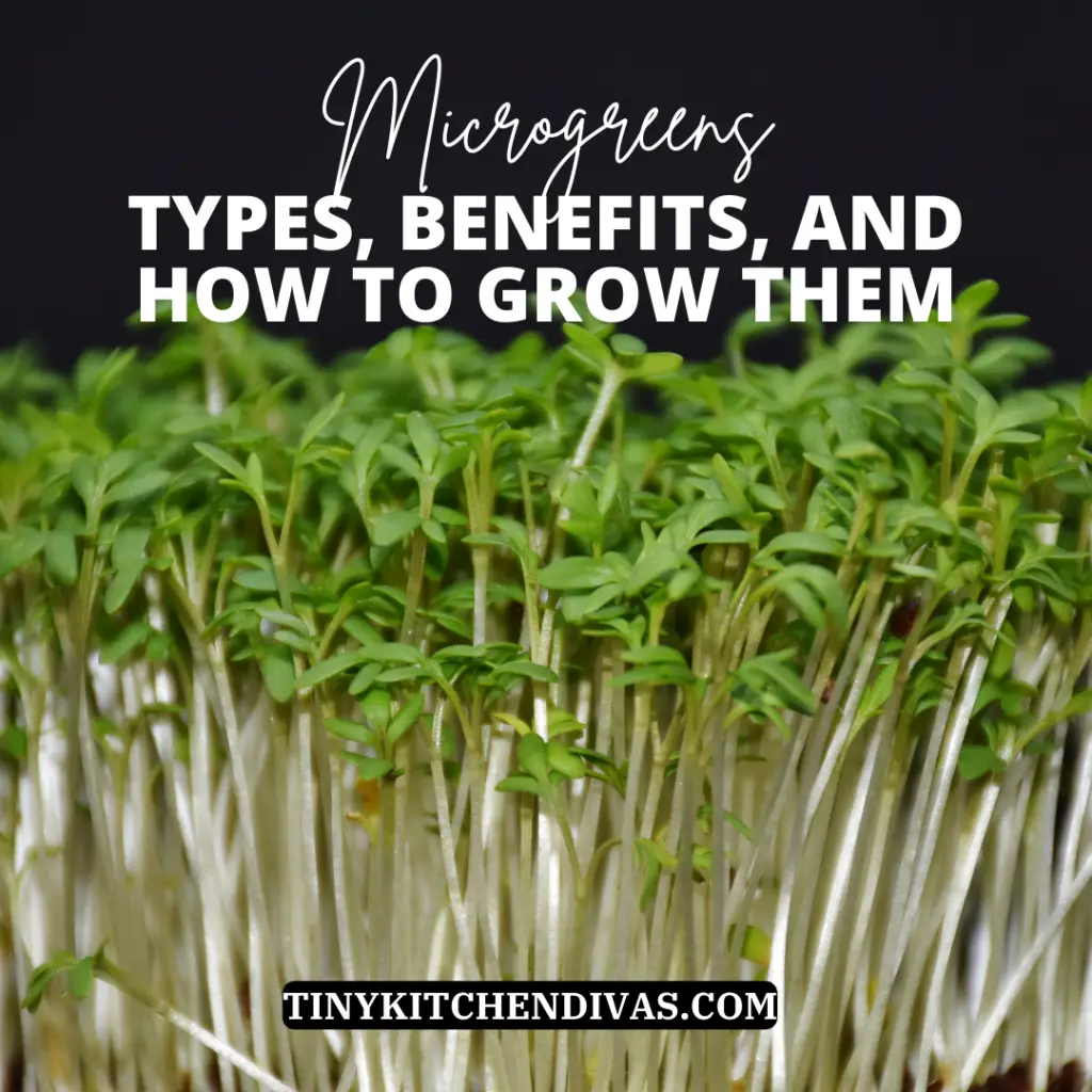 Microgreens: Types, Benaefits, And How To Grow Them