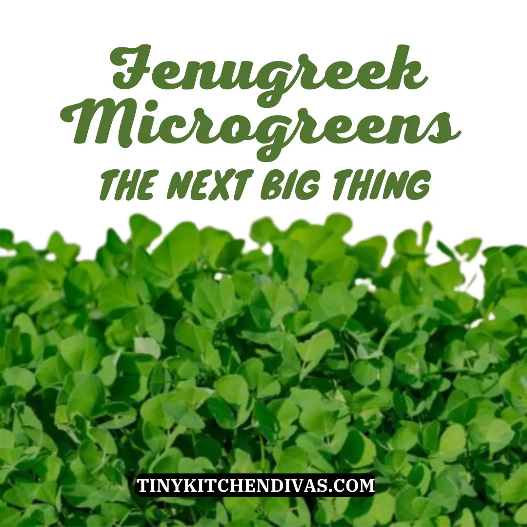 Fenugreek Microgreens: The Next Big Thing