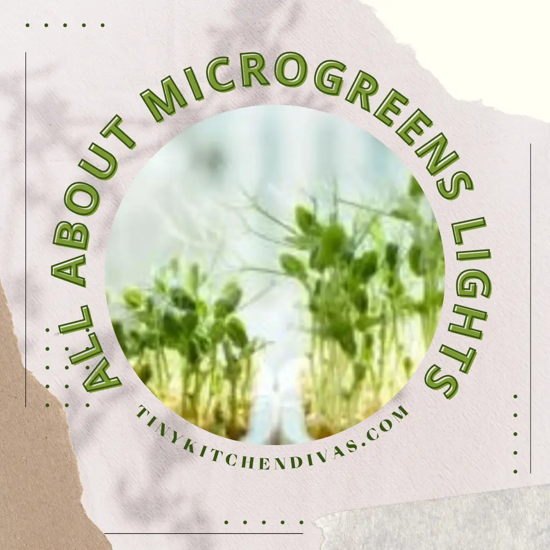 All About Microgreens Lights