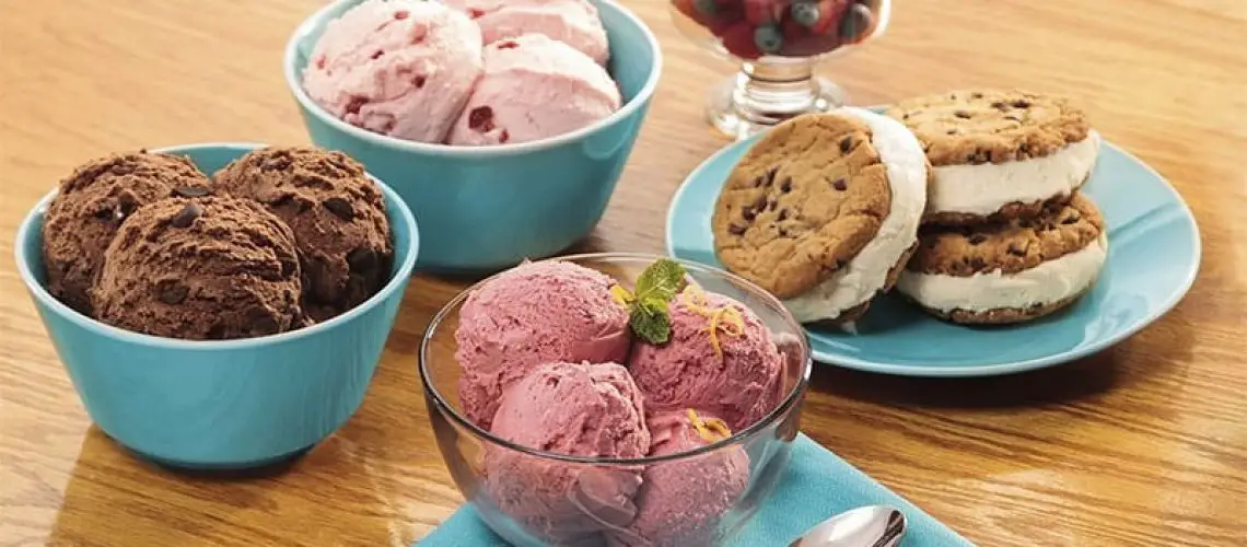 Top Summer Survival MustHave The Best Ice Cream Machines Tiny